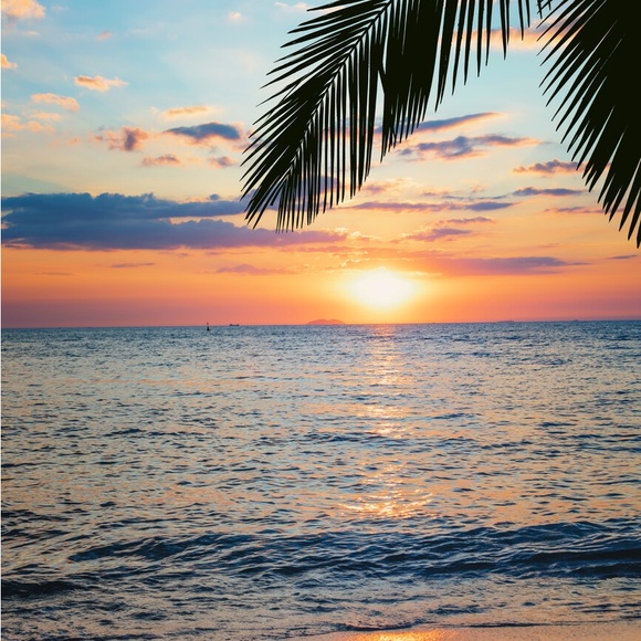 Meet your Posher, Bonnie - Picture 1 of 1